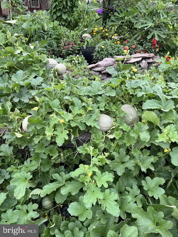 BRITTANY II - Residential