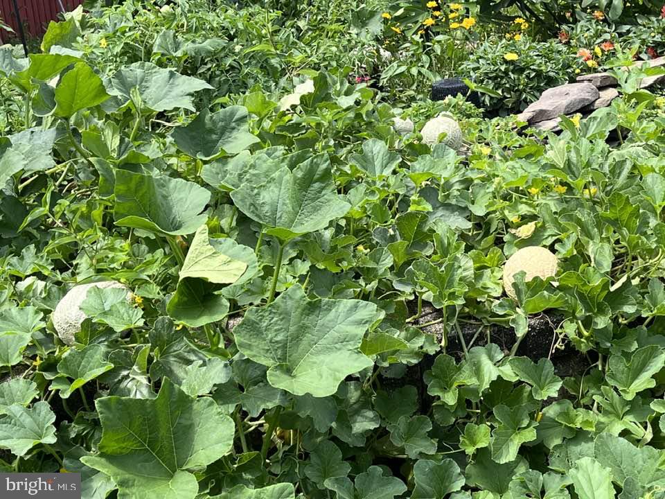 BRITTANY II - Residential