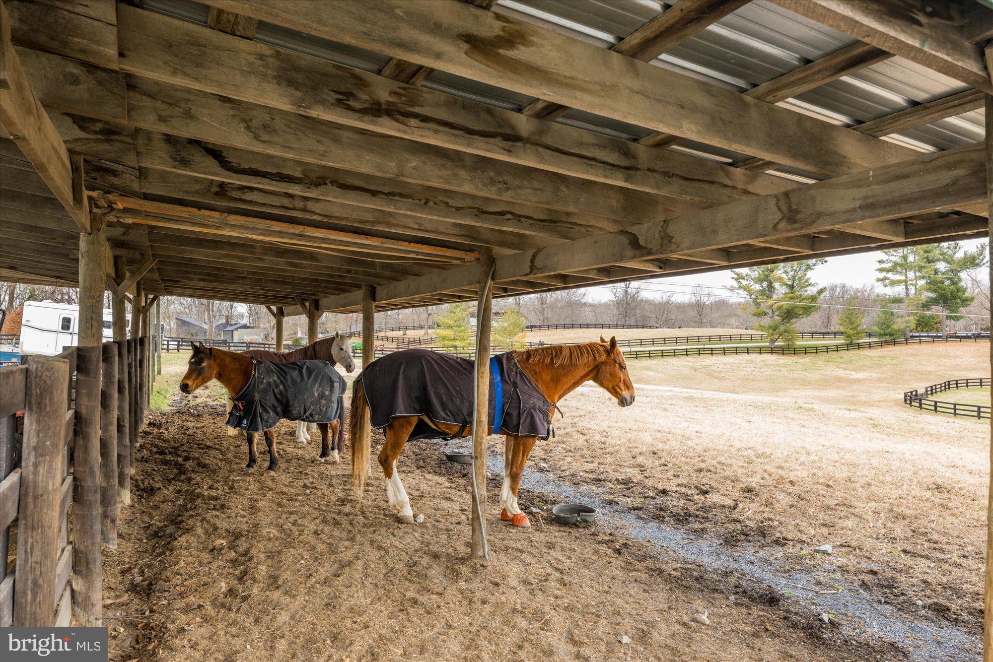 MERRY GO ROUND FARM - Residential