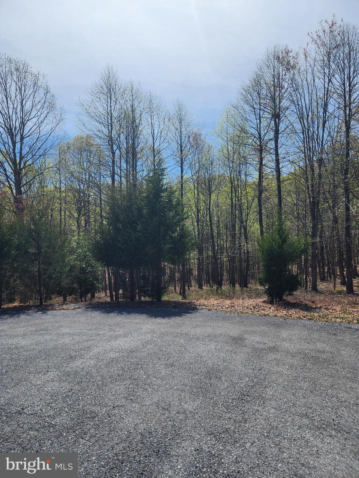 Looking for peace and tranquility? Build your dream home on this amazing lot! Sits way back in this gated community at the end of a cul-de-sac. Homes are all on large lots, this being one of the largest and one of the first sold there. Lot is pie shaped and lightly wooded with a very slight slope in front that goes down to a small mountain stream and then continues to the other side. Subdivision backs to Sleepy Creek Wildlife Management Area which encompasses nearly 23,000 acres of preserved land offering hunting fishing and other outdoor adventures. Must schedule with an agent in order to get into front gate.