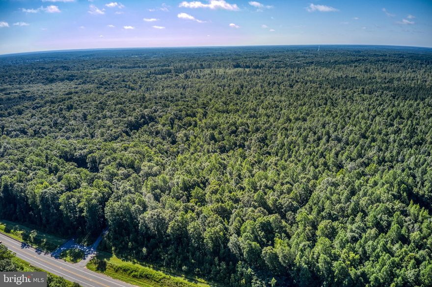 Great investment opportunity!  This property has road frontage on Rt. 208, Lake Anna Parkway and located only 20 minutes to I95, 10 minutes to Spotsylvaia Courthouse and just minutes to Lake Anna.  The property consist of 9 seperate parcels totaling 555.36  acres.