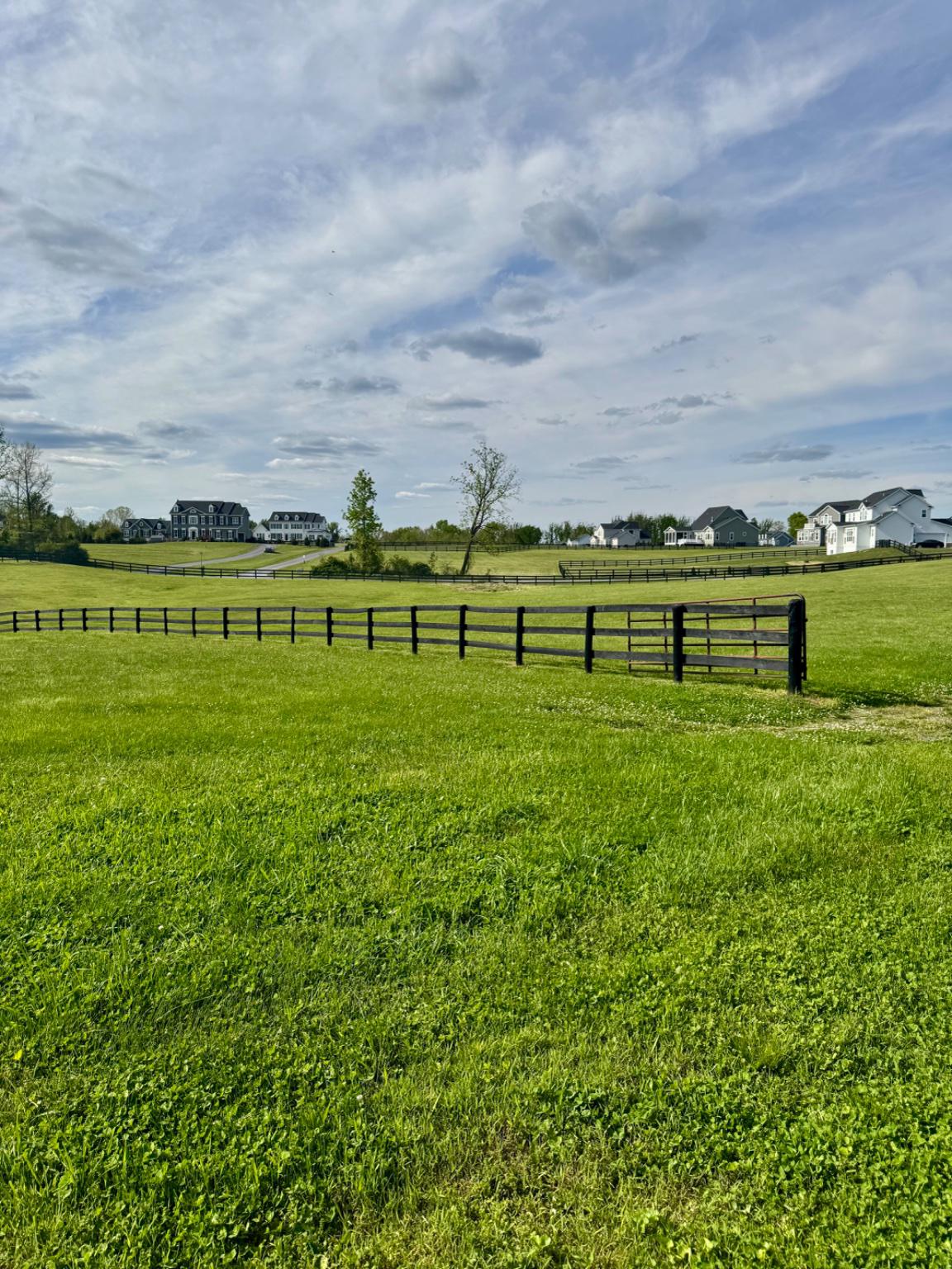 NONE AVAILABLE - Farm