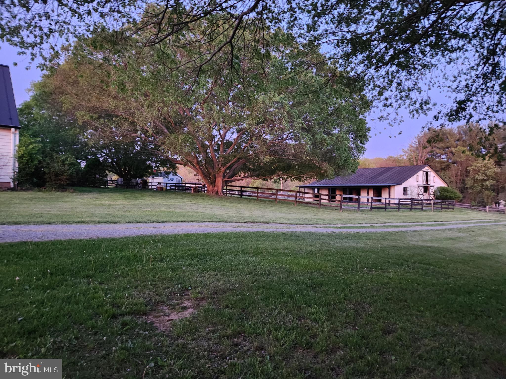 NONE AVAILABLE - Farm