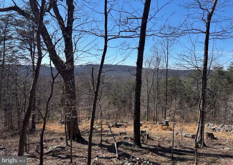 Elevated hilltop setting offering exceptional privacy and mountain views, all within close proximity to Route 66, Marshall, and Warrenton. The homesite, ideally positioned along the ridge, has already been cleared and has a 4-bedroom certification letter on file (see documents). 
Encompassing 22.48 scenic acres, the property is rich in natural character, featuring a small stream, mature landscape, and a logging road that provides access to the building site. Additional improvements include an old silo and a hunting blind/storage structure, adding both character and utility.
A rare opportunity to create a private retreat or country estate in a sought-after location with both tranquility and convenience.