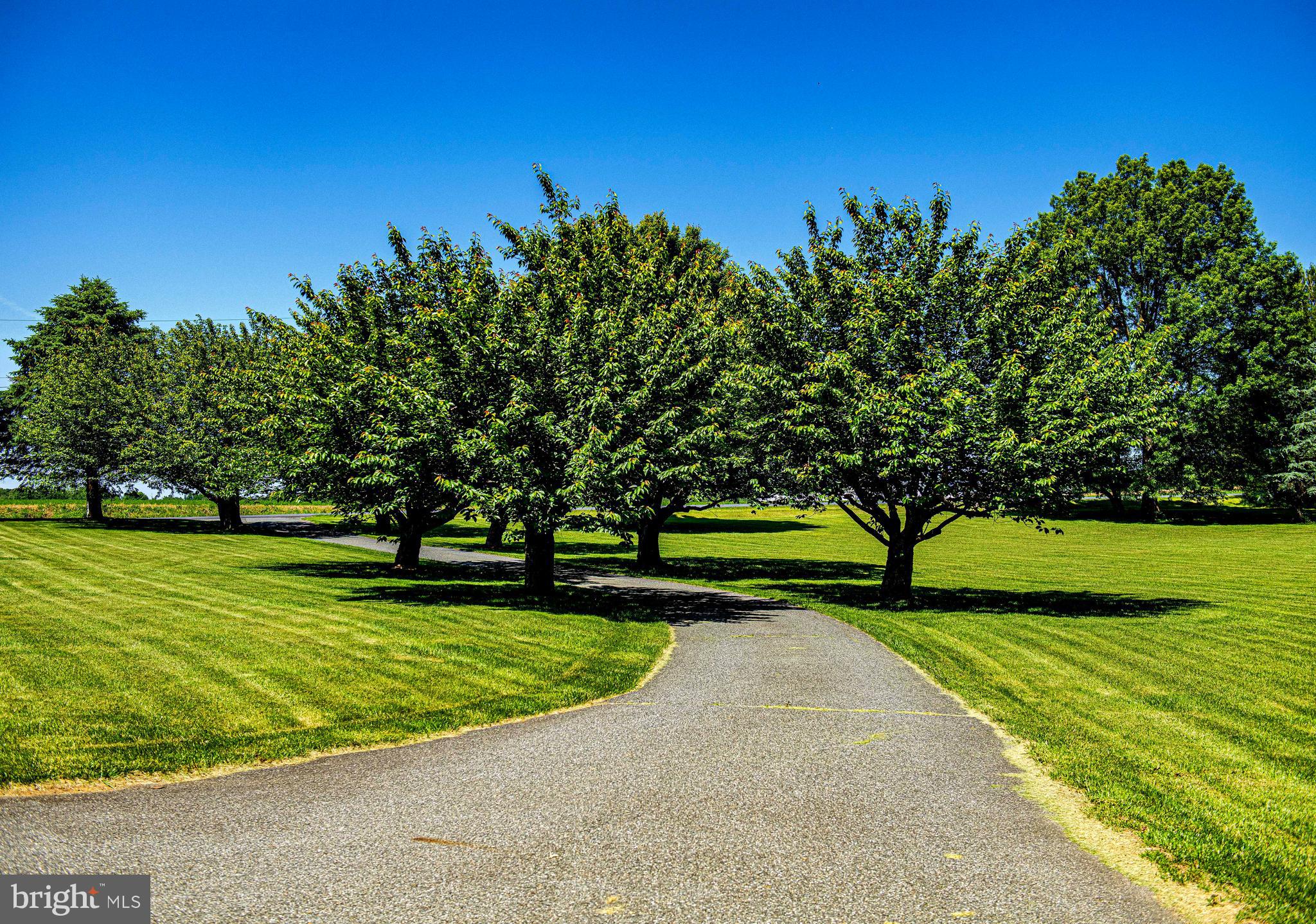 RISING SUN - Residential