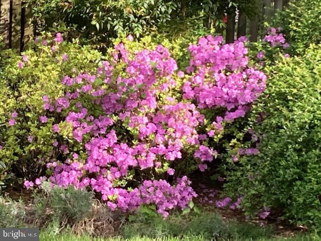 SOMERSET HEIGHTS - Residential