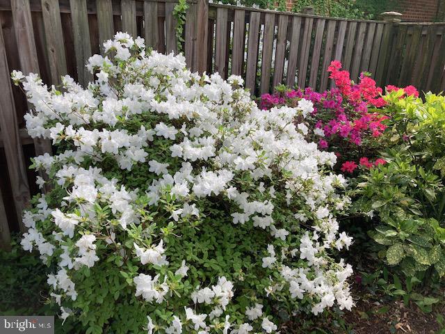 SOMERSET HEIGHTS - Residential