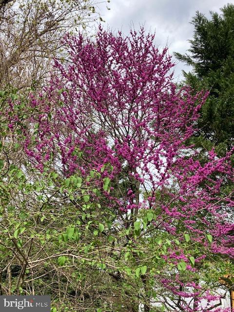 SOMERSET HEIGHTS - Residential