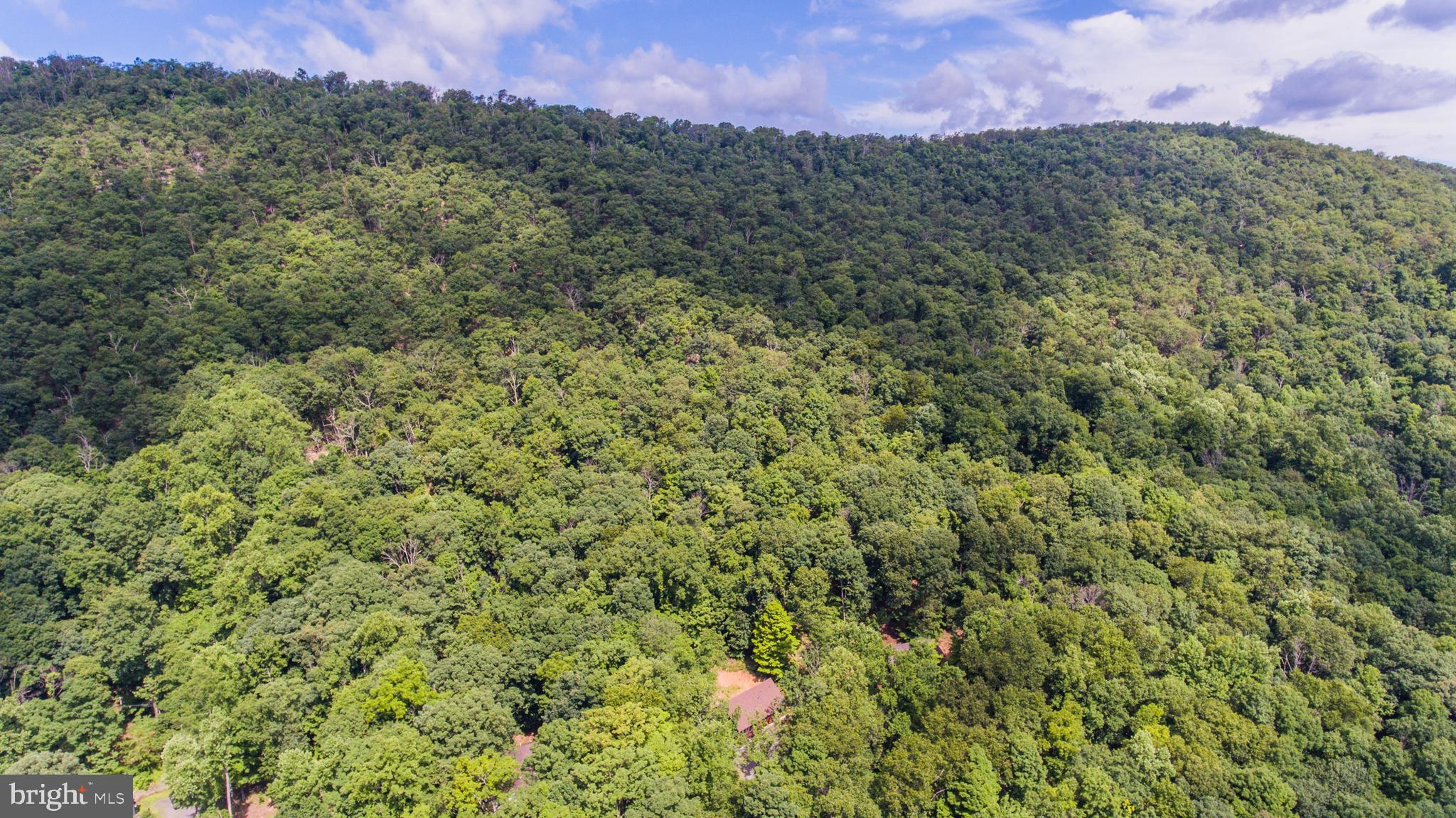 COOLFONT MOUNTAINSIDE - Residential