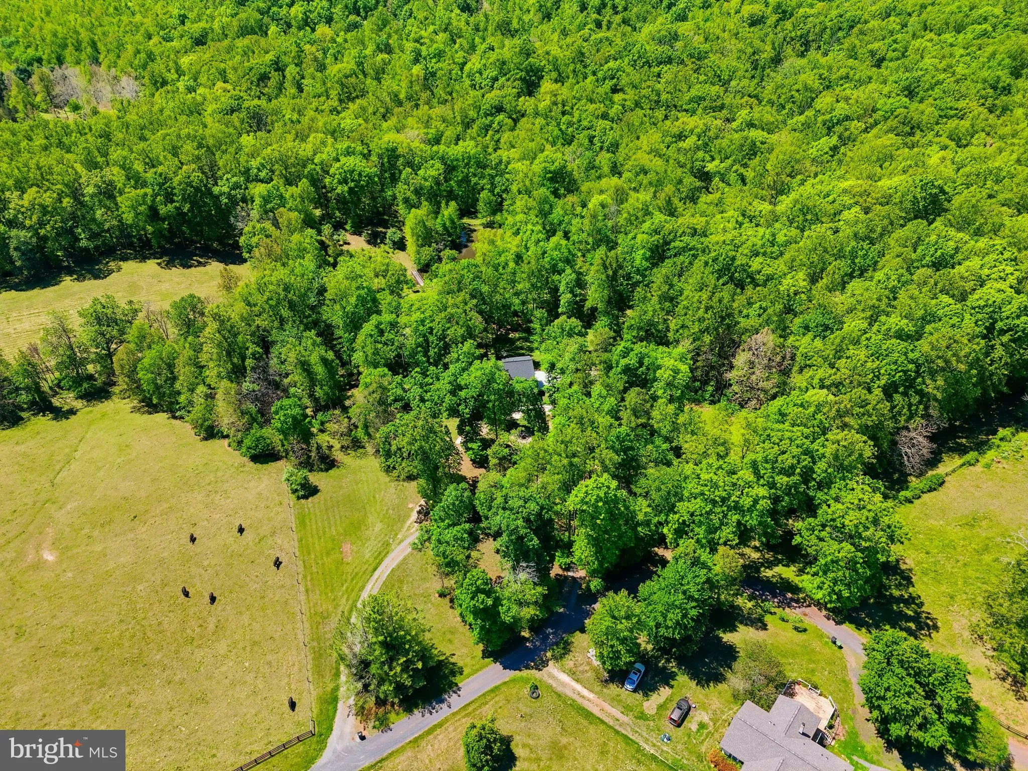 Additional image 129 of 12638 Walnut Lane, Culpeper, VA 22701