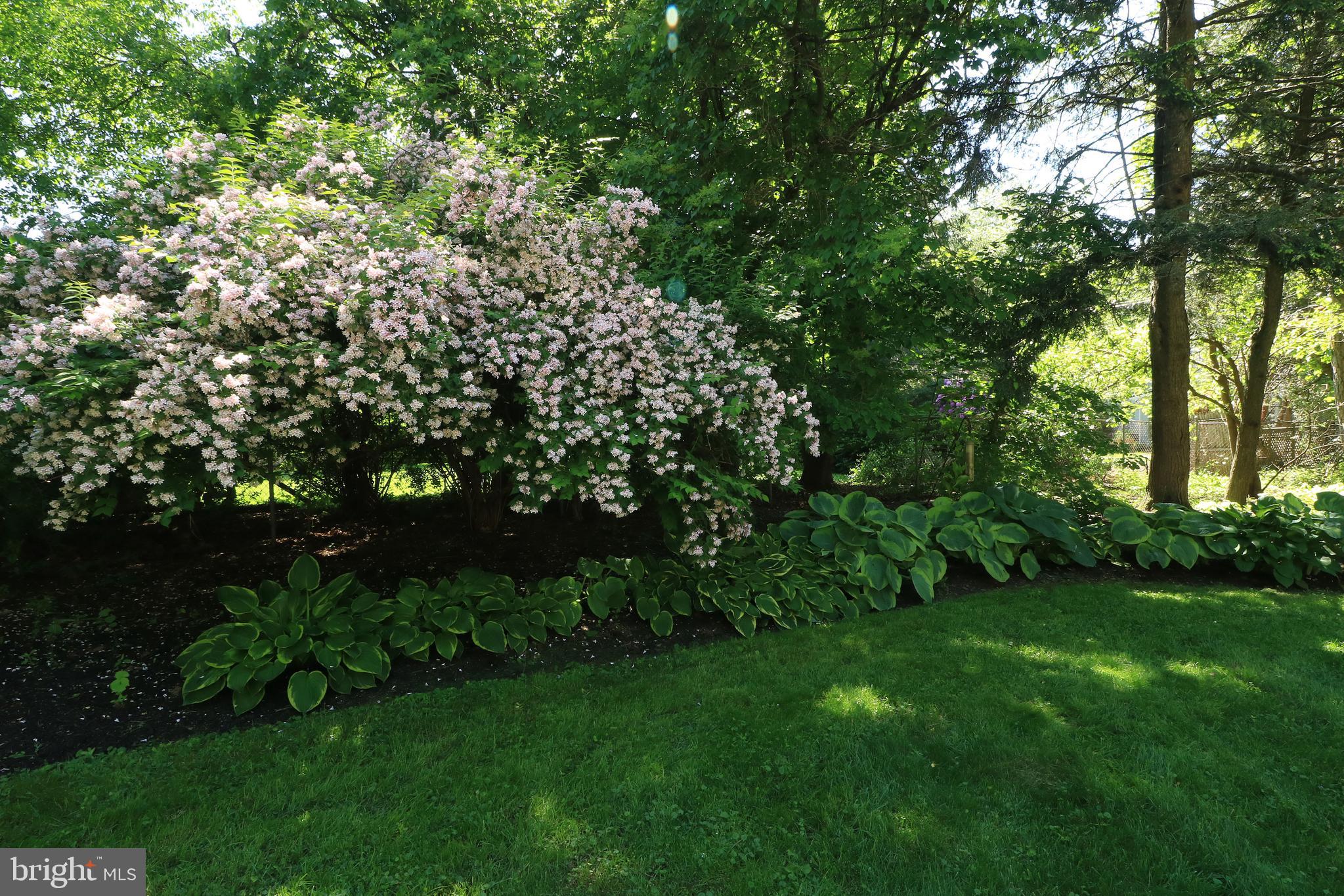 COLLEGE HEIGHTS - Residential