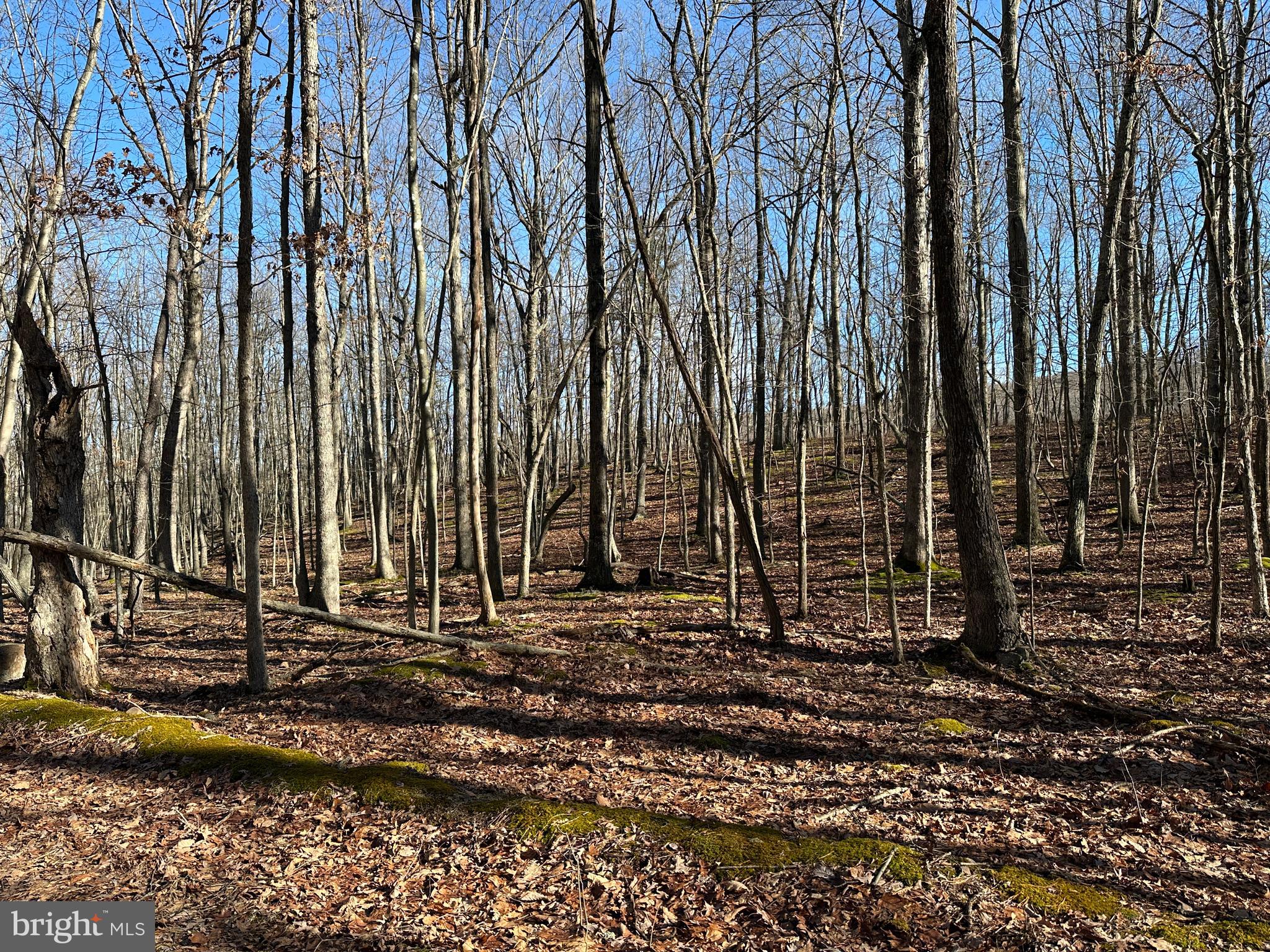 WALNUT BOTTOM HIDEAWAY - Land