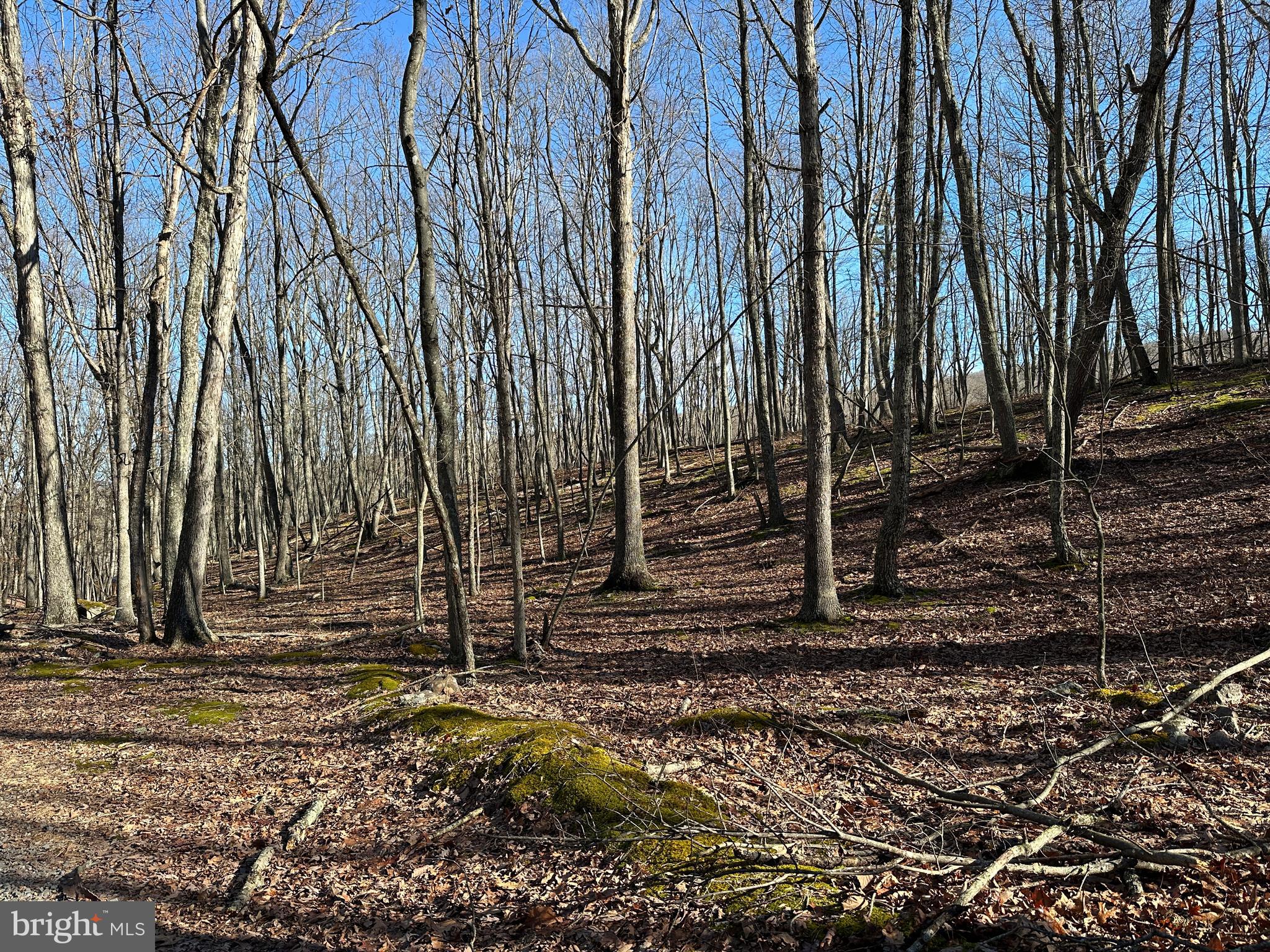 WALNUT BOTTOM HIDEAWAY - Land