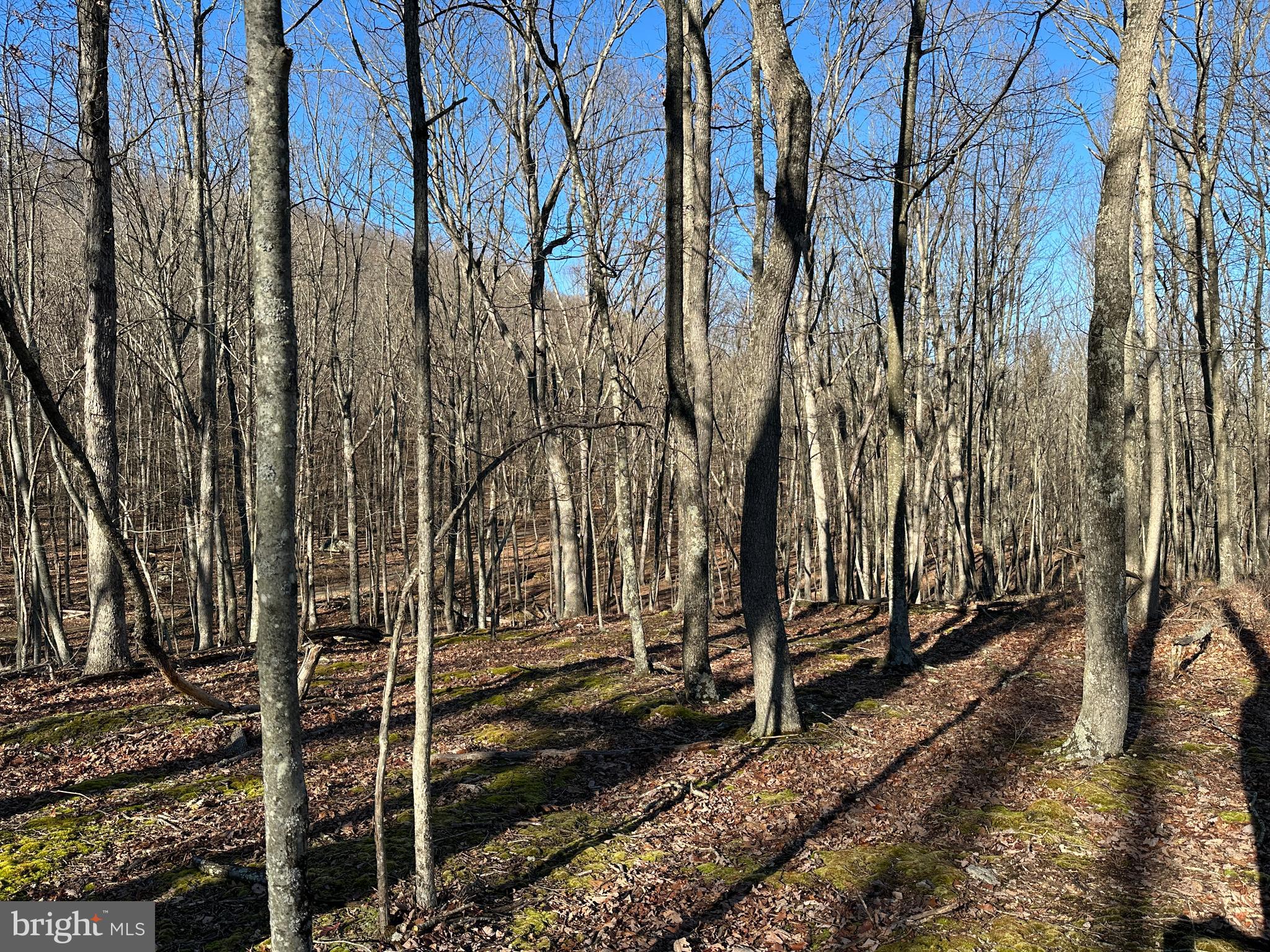 WALNUT BOTTOM HIDEAWAY - Land