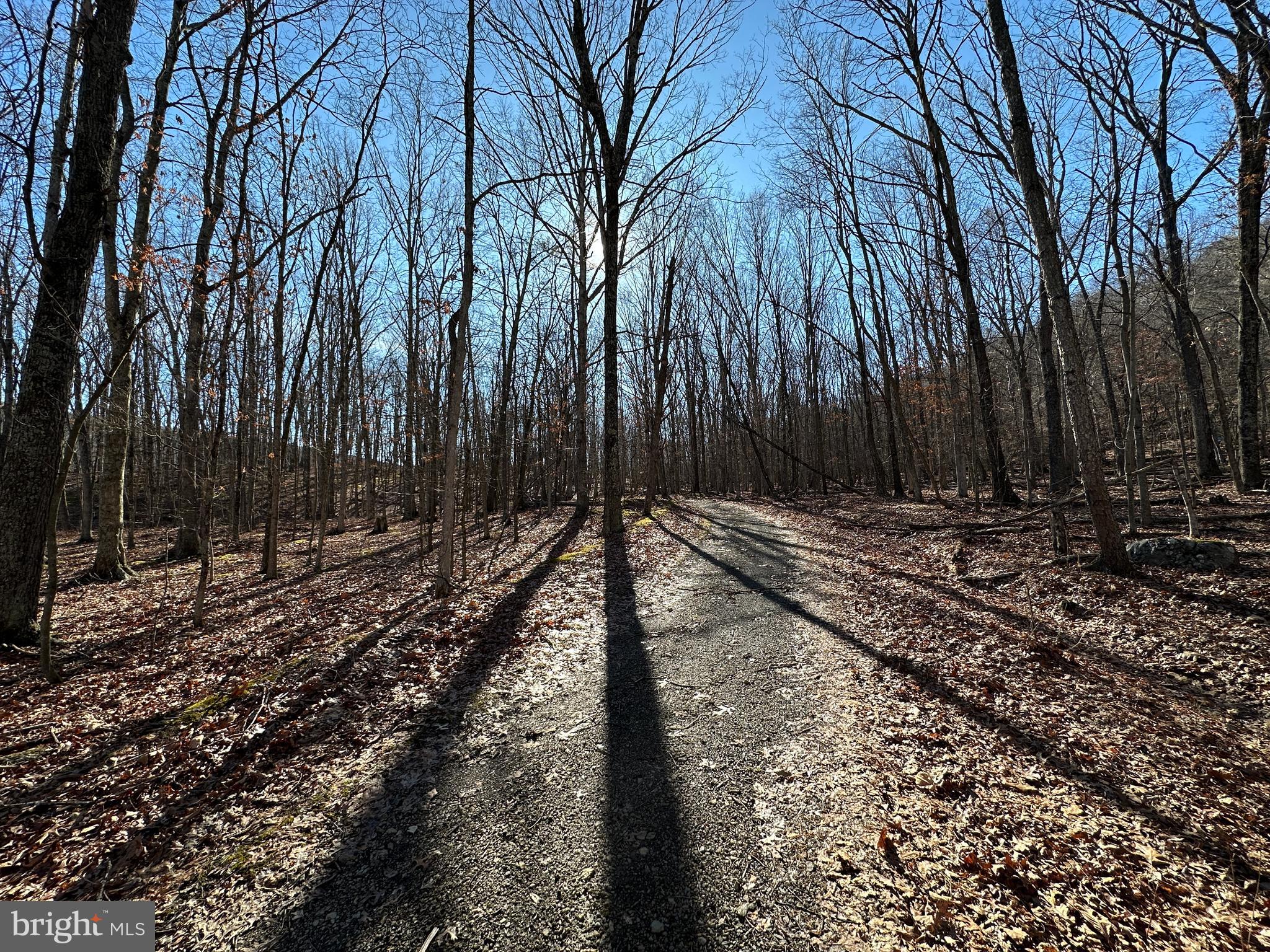 WALNUT BOTTOM HIDEAWAY - Land