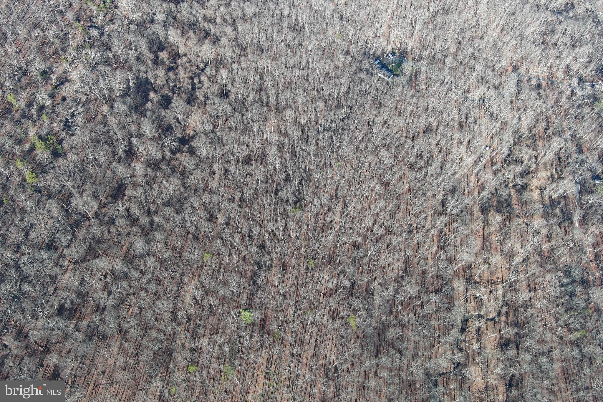 WALNUT BOTTOM HIDEAWAY - Land