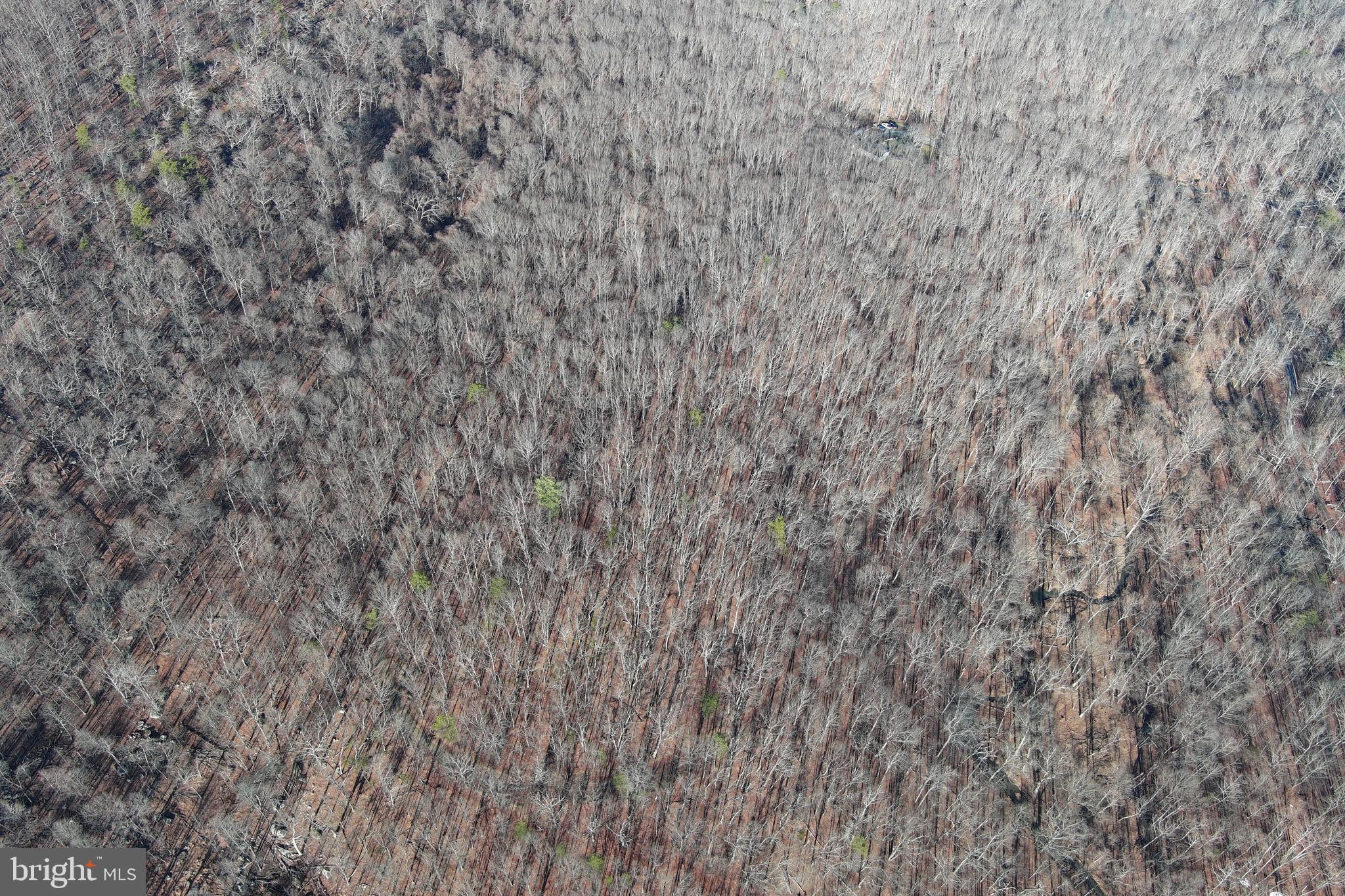 WALNUT BOTTOM HIDEAWAY - Land