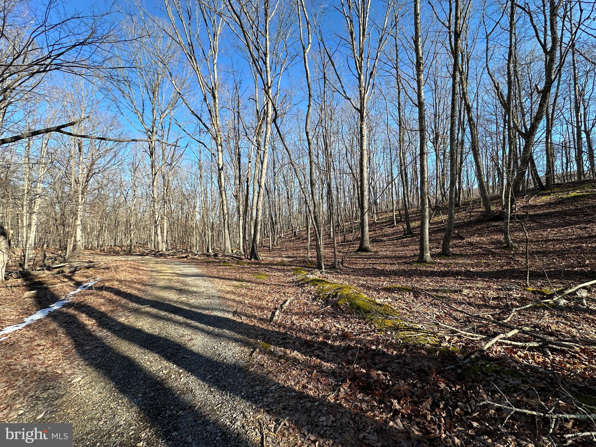 WALNUT BOTTOM HIDEAWAY - Land