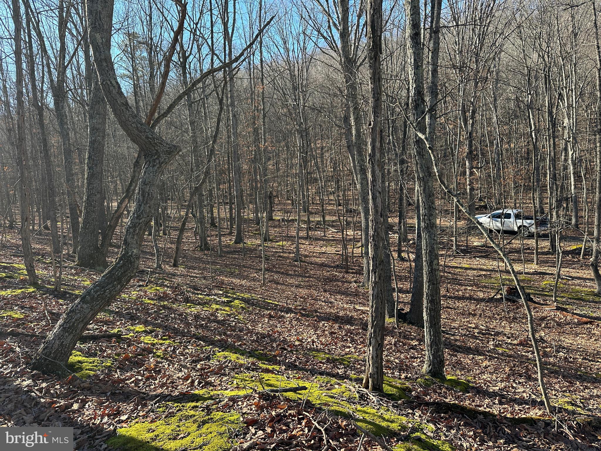 WALNUT BOTTOM HIDEAWAY - Land