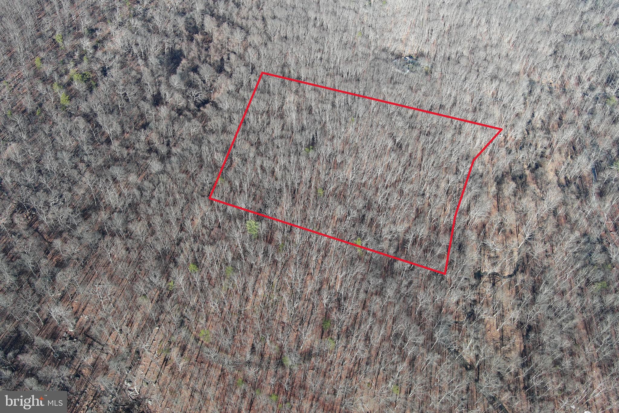 WALNUT BOTTOM HIDEAWAY - Land