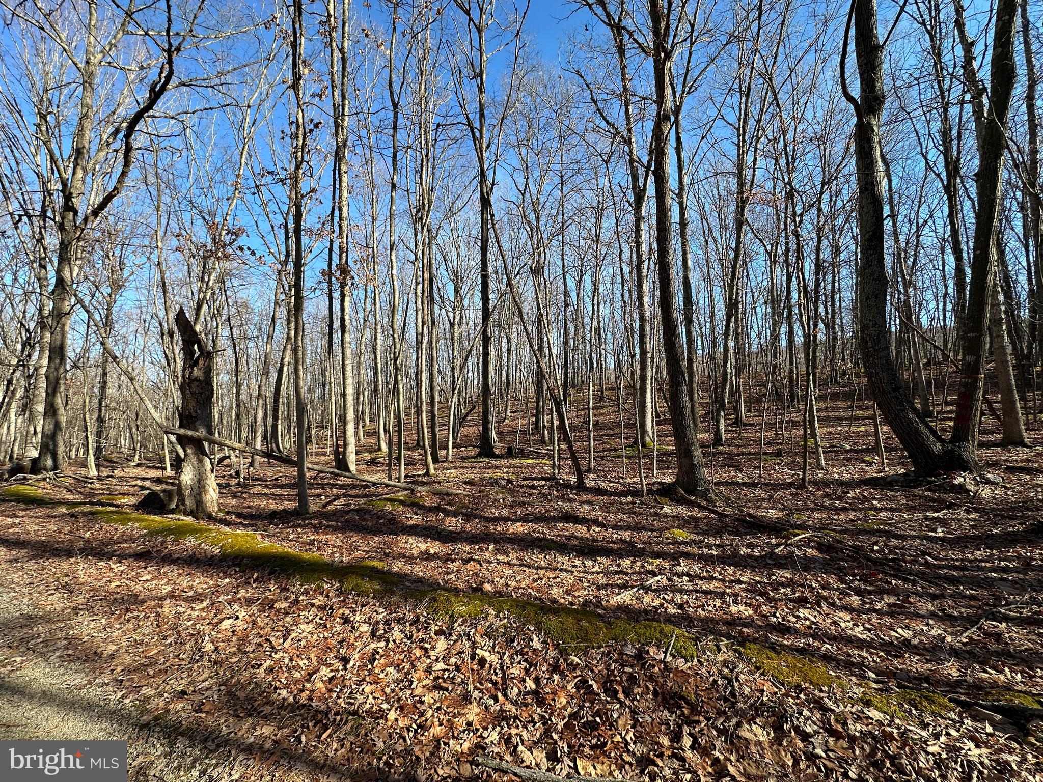 WALNUT BOTTOM HIDEAWAY - Land