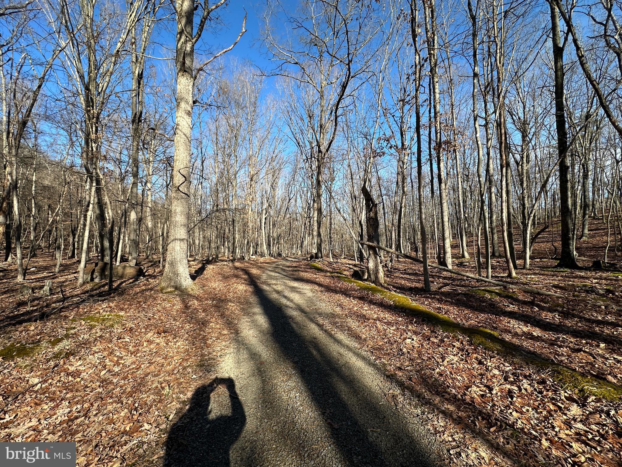 WALNUT BOTTOM HIDEAWAY - Land