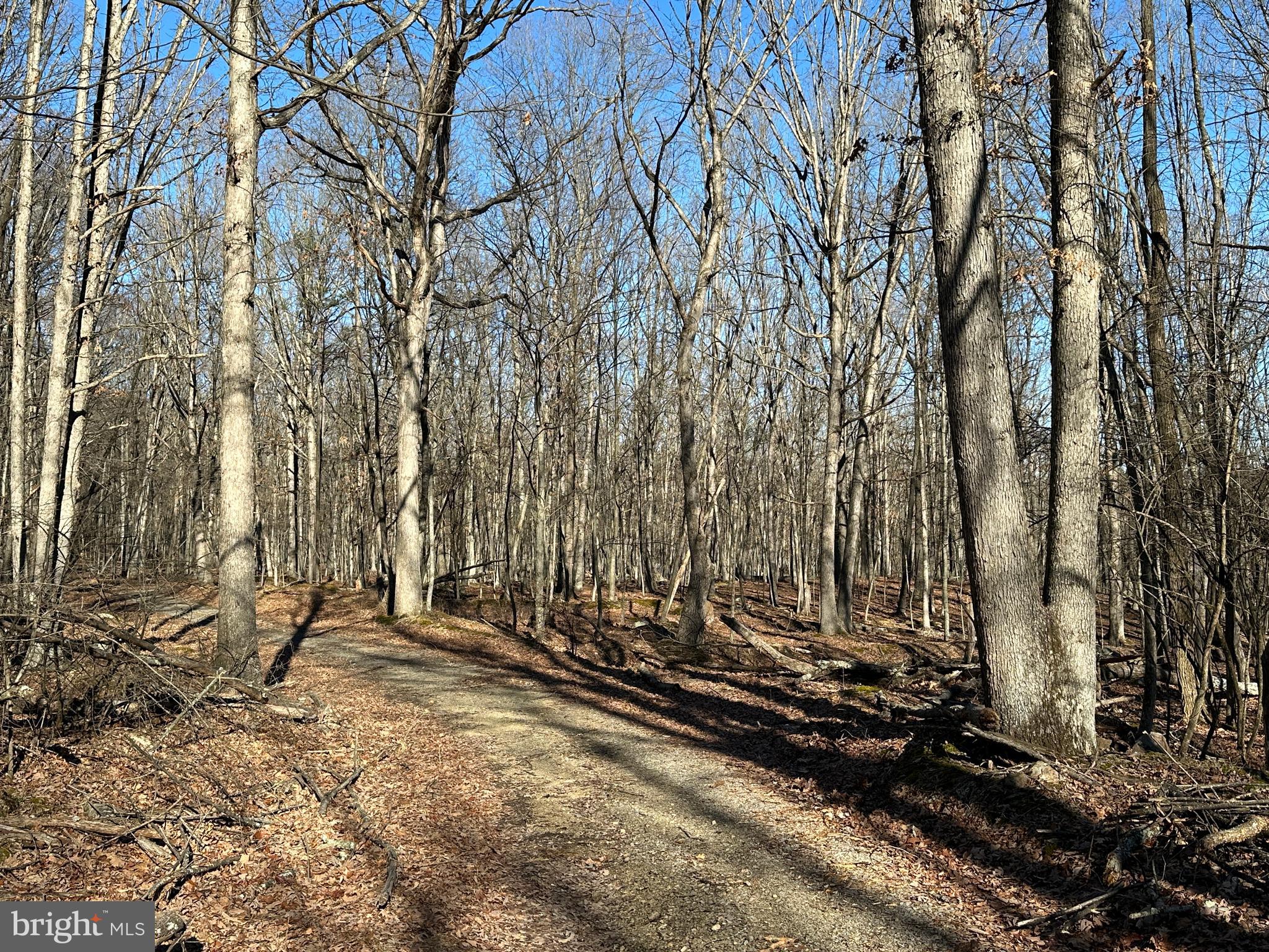 WALNUT BOTTOM HIDEAWAY - Land