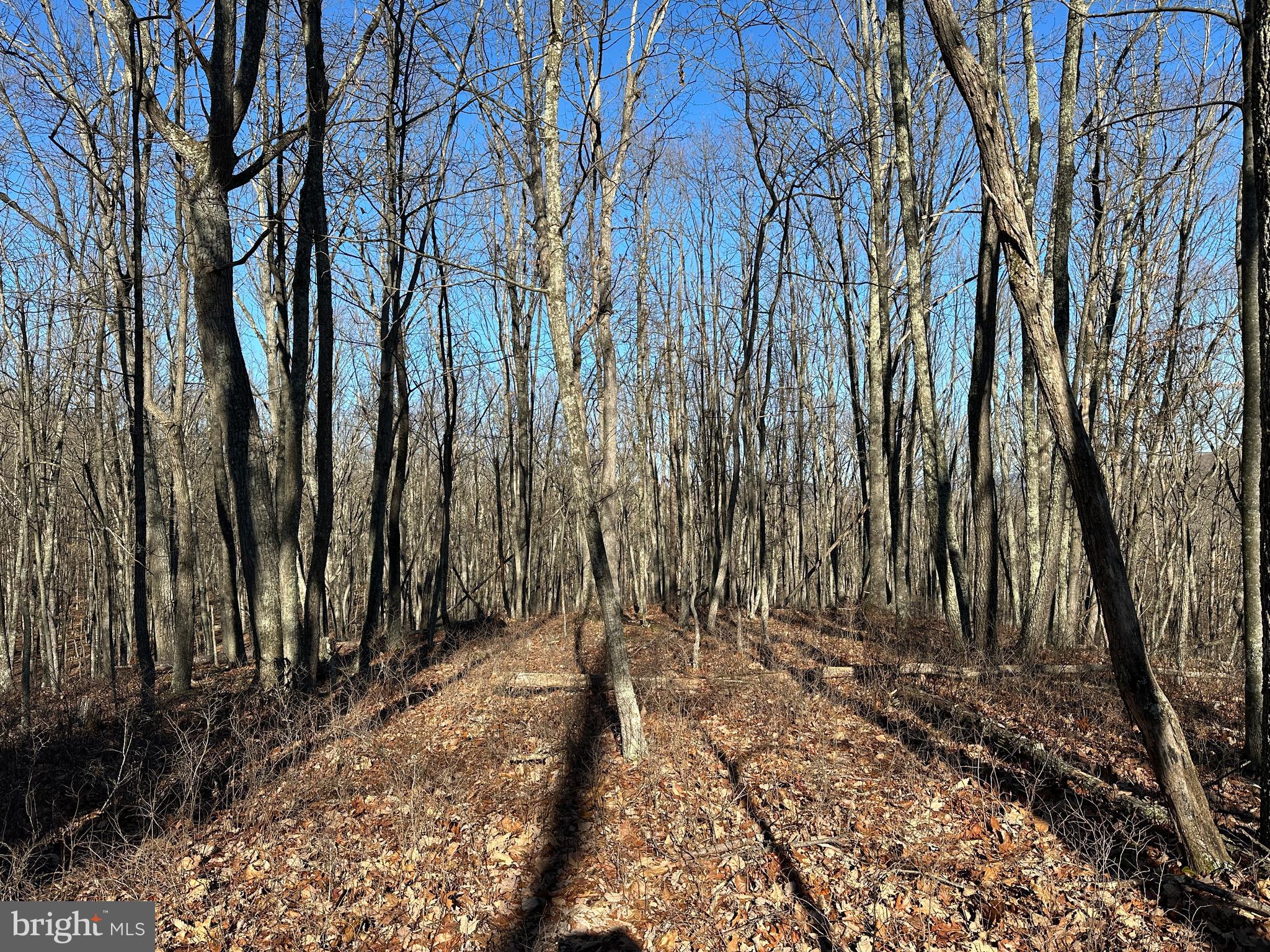 20 & 21 WALNUT BOTTOM HIDEAWAY