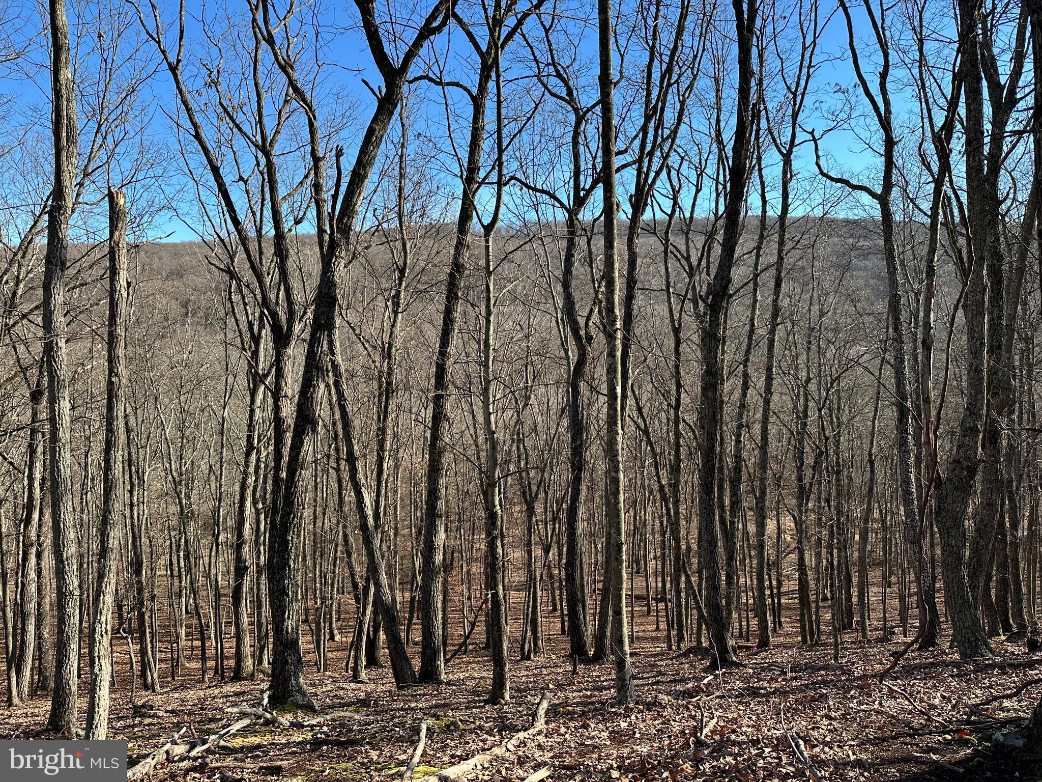 20 & 21 WALNUT BOTTOM HIDEAWAY