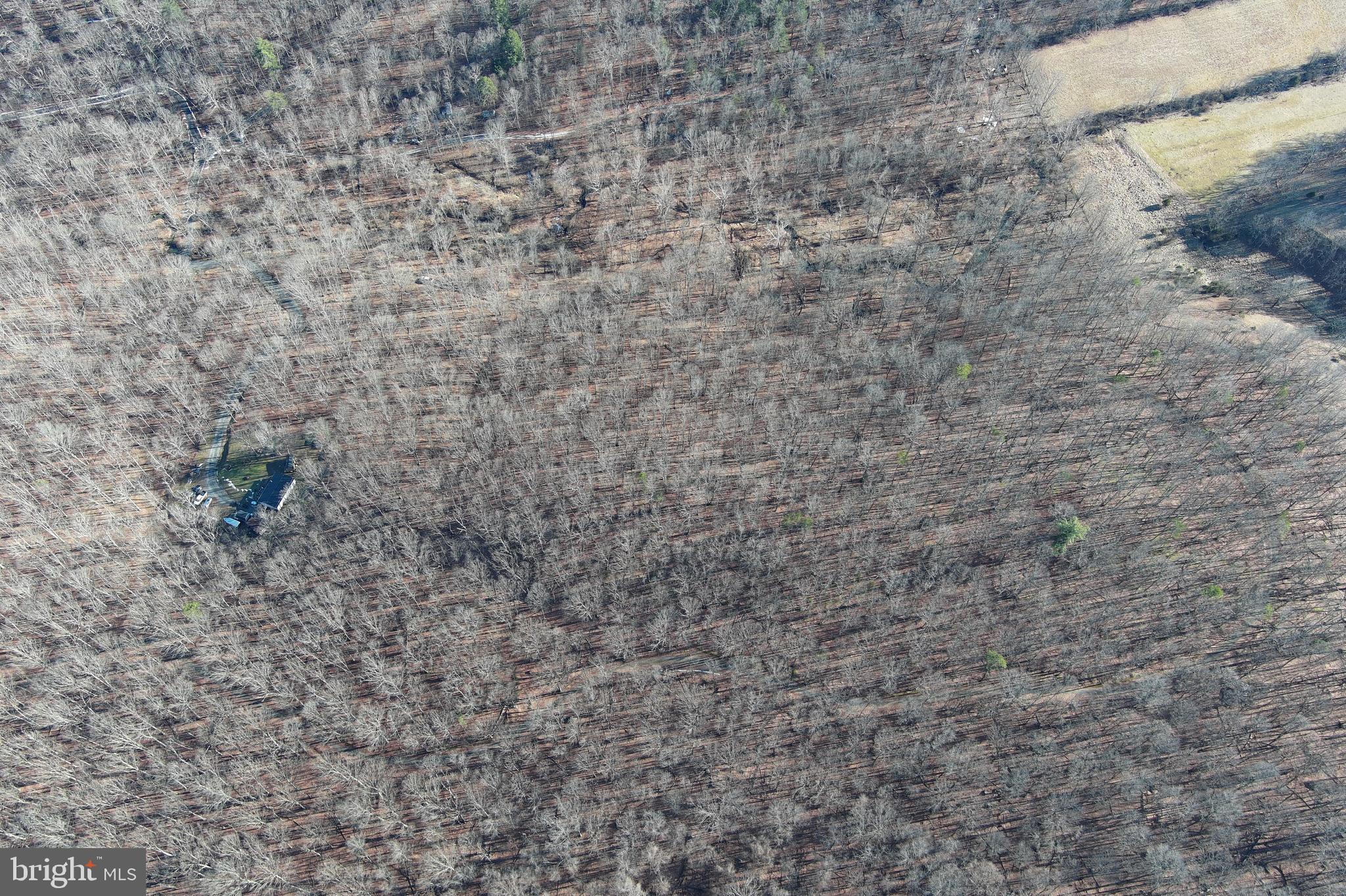 WALNUT BOTTOM HIDEAWAY - Land