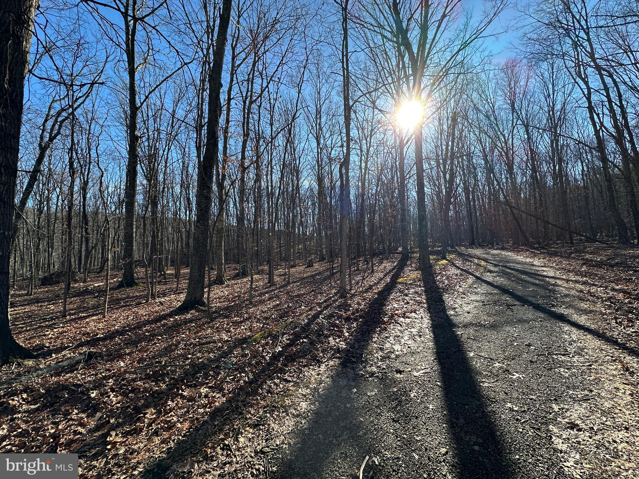 WALNUT BOTTOM HIDEAWAY - Land