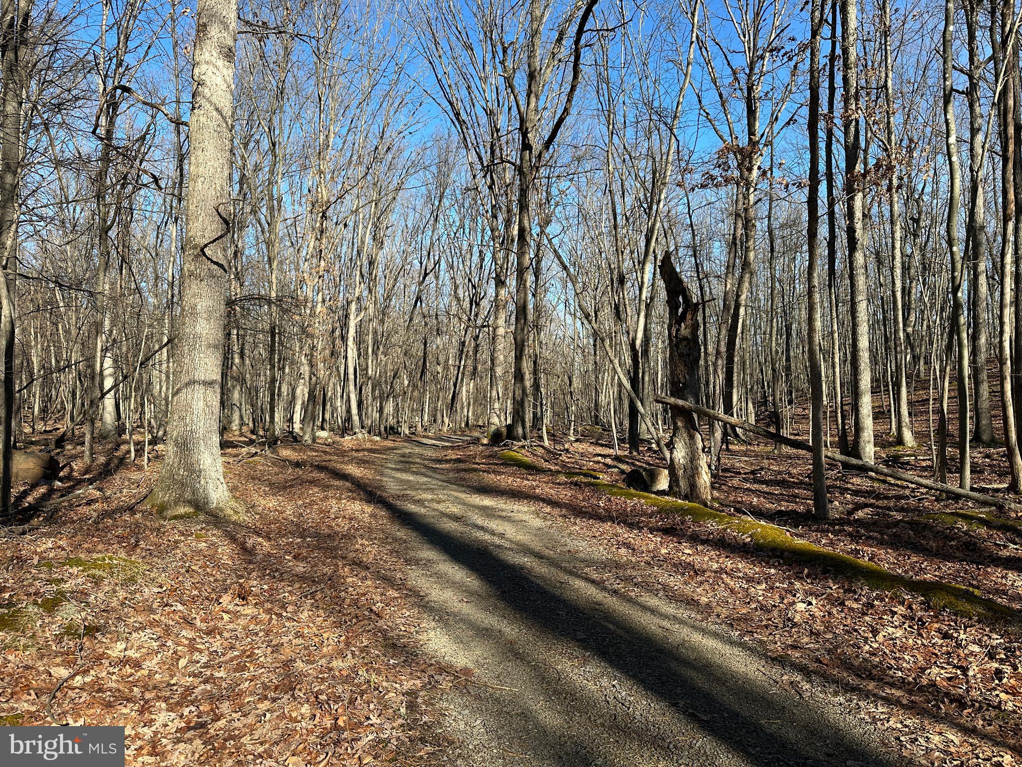 WALNUT BOTTOM HIDEAWAY - Land