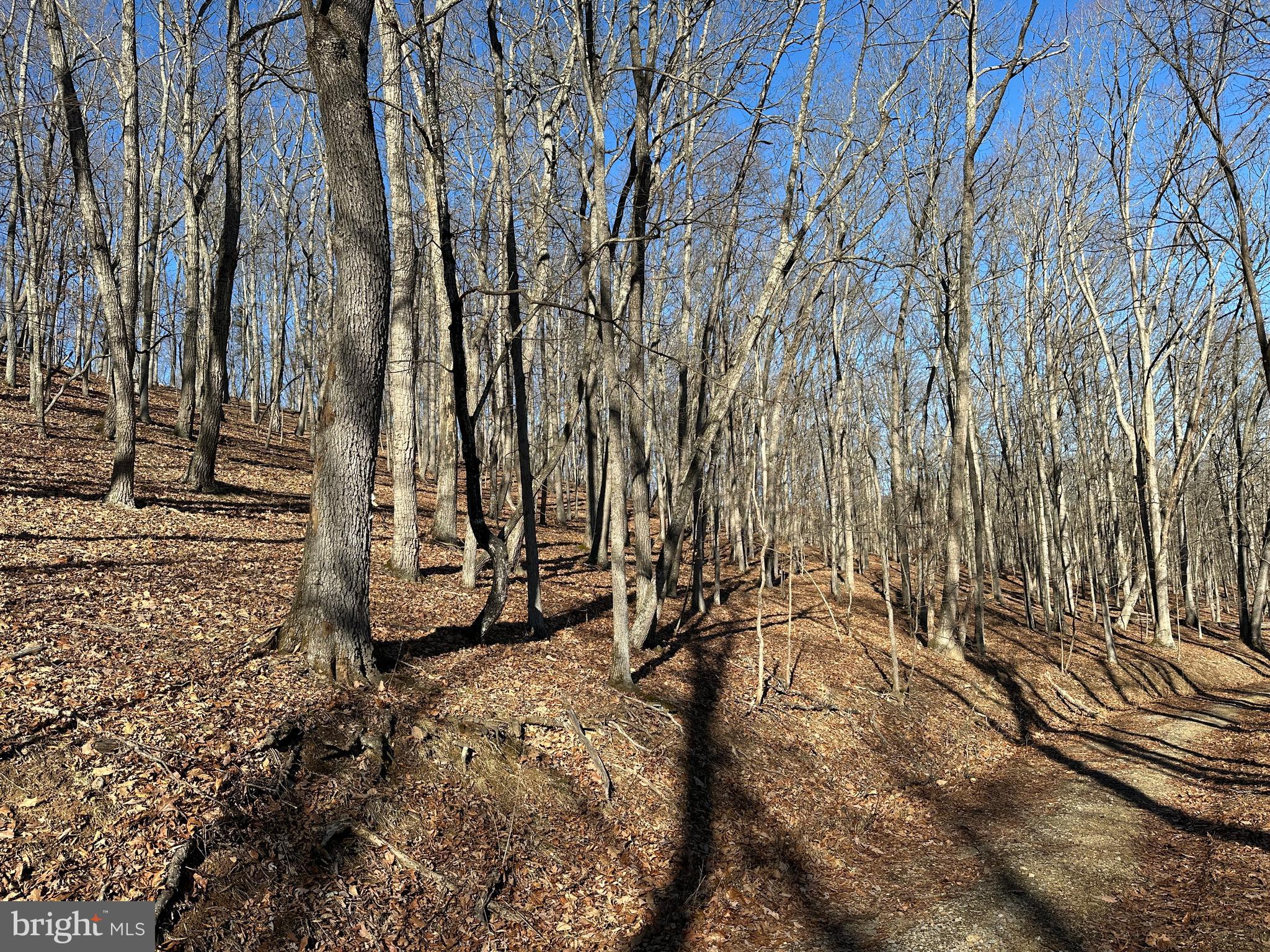 WALNUT BOTTOM HIDEAWAY - Land