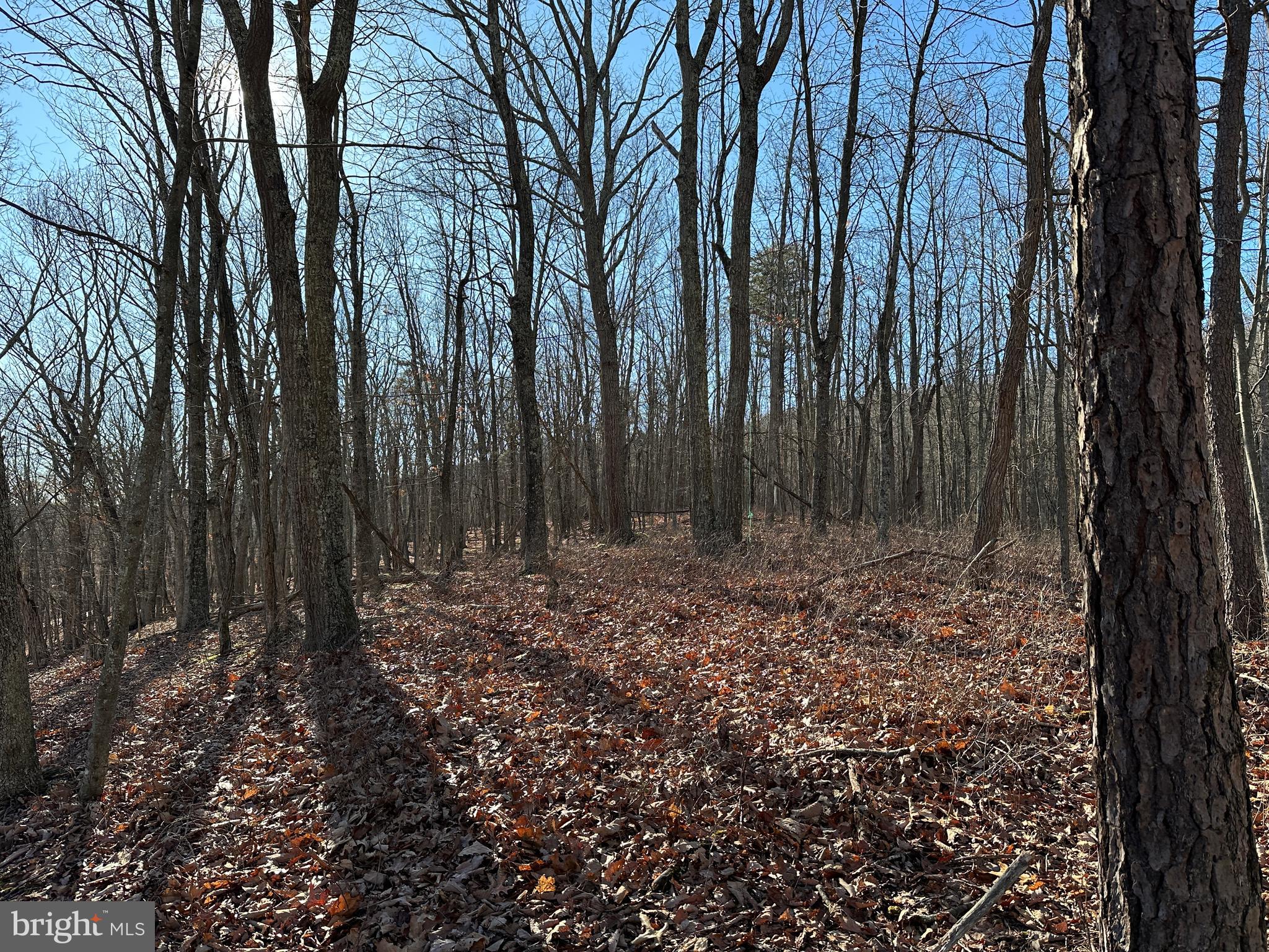 20 & 21 WALNUT BOTTOM HIDEAWAY