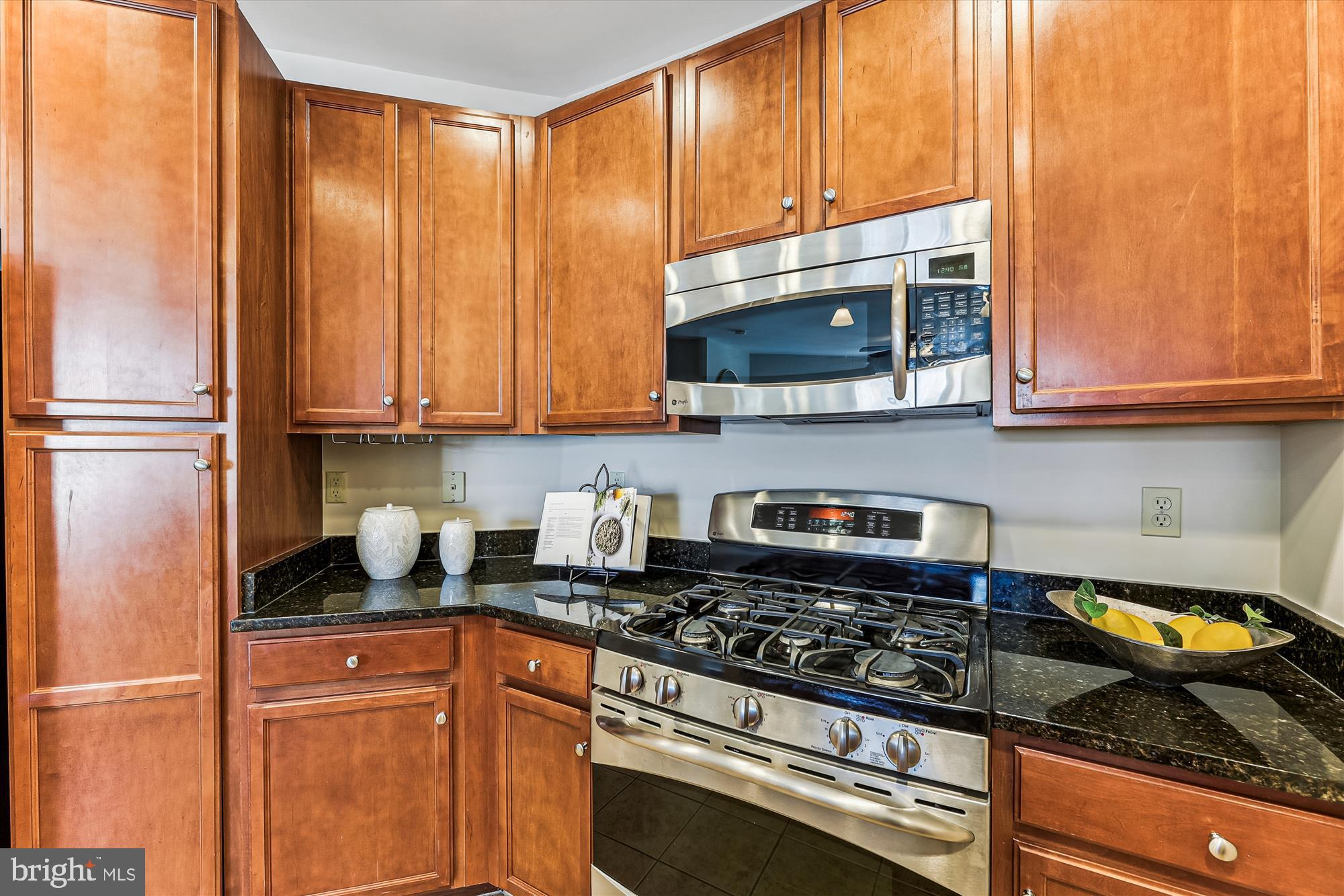 HALSTEAD AT THE METRO - Residential