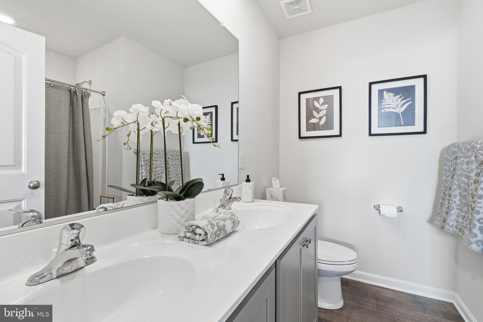 THE VILLAGE AT CHESTERTOWN - Residential