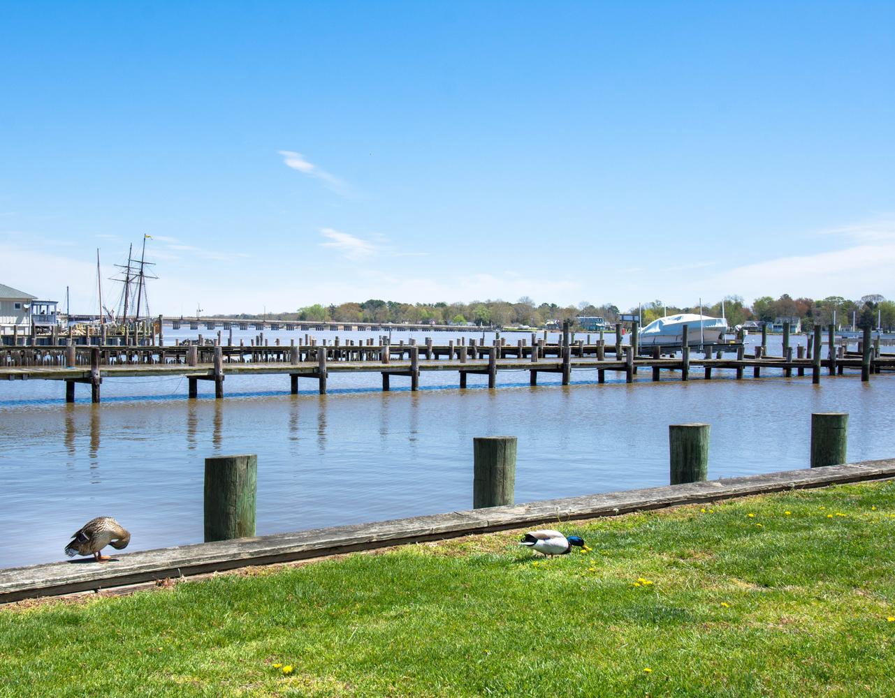 OAK HOLLOW - Residential