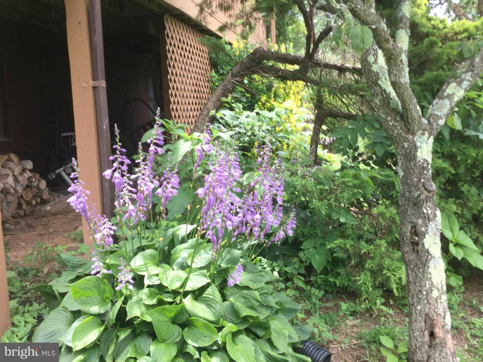 GREENE MOUNTAIN LAKE - Residential