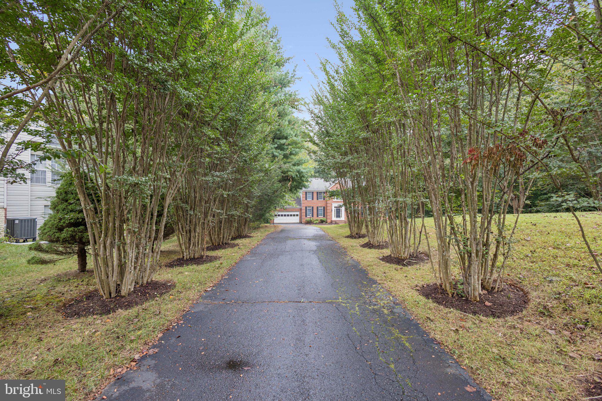 12509 SILENT WOLF DRIVE