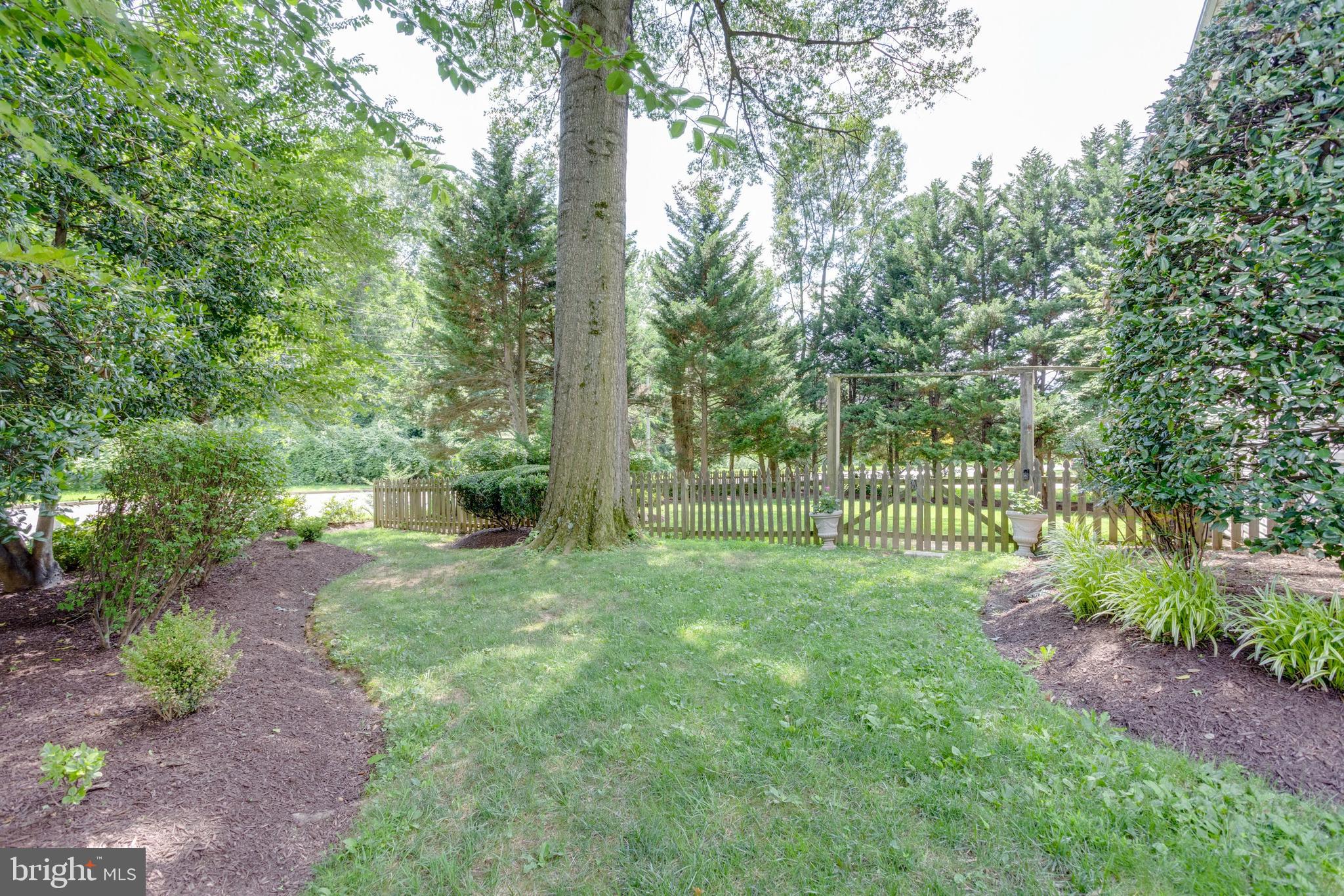 NORTH SPRINGFIELD - Residential