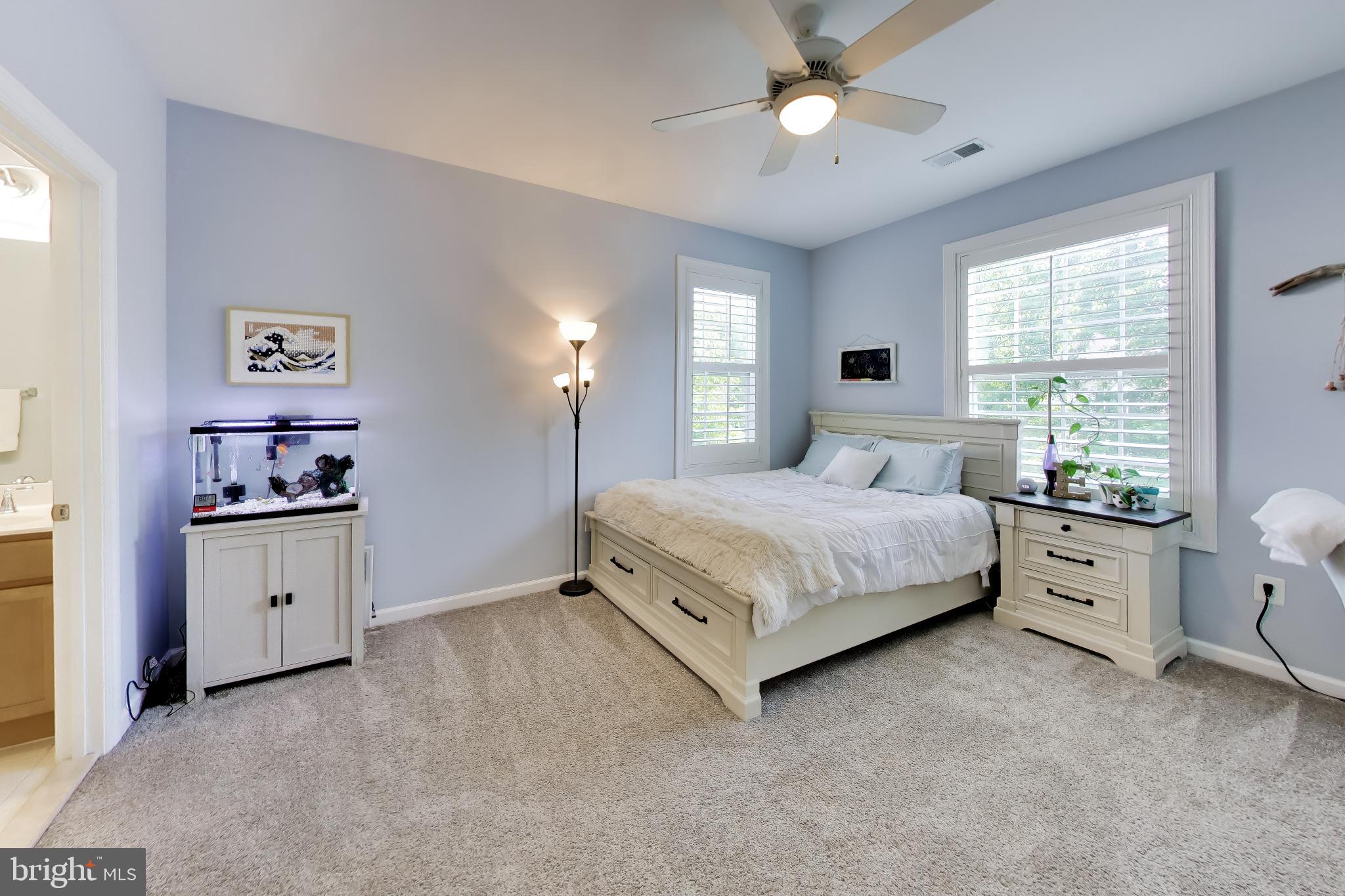 TRITON WOODS - Residential