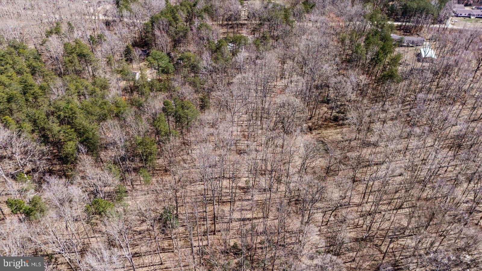 HOLLY GROVE - Residential