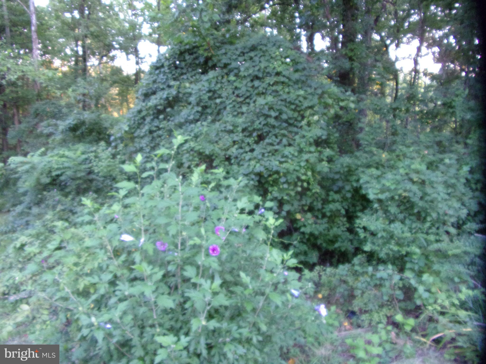 NOTTINGHAM - Residential Lease