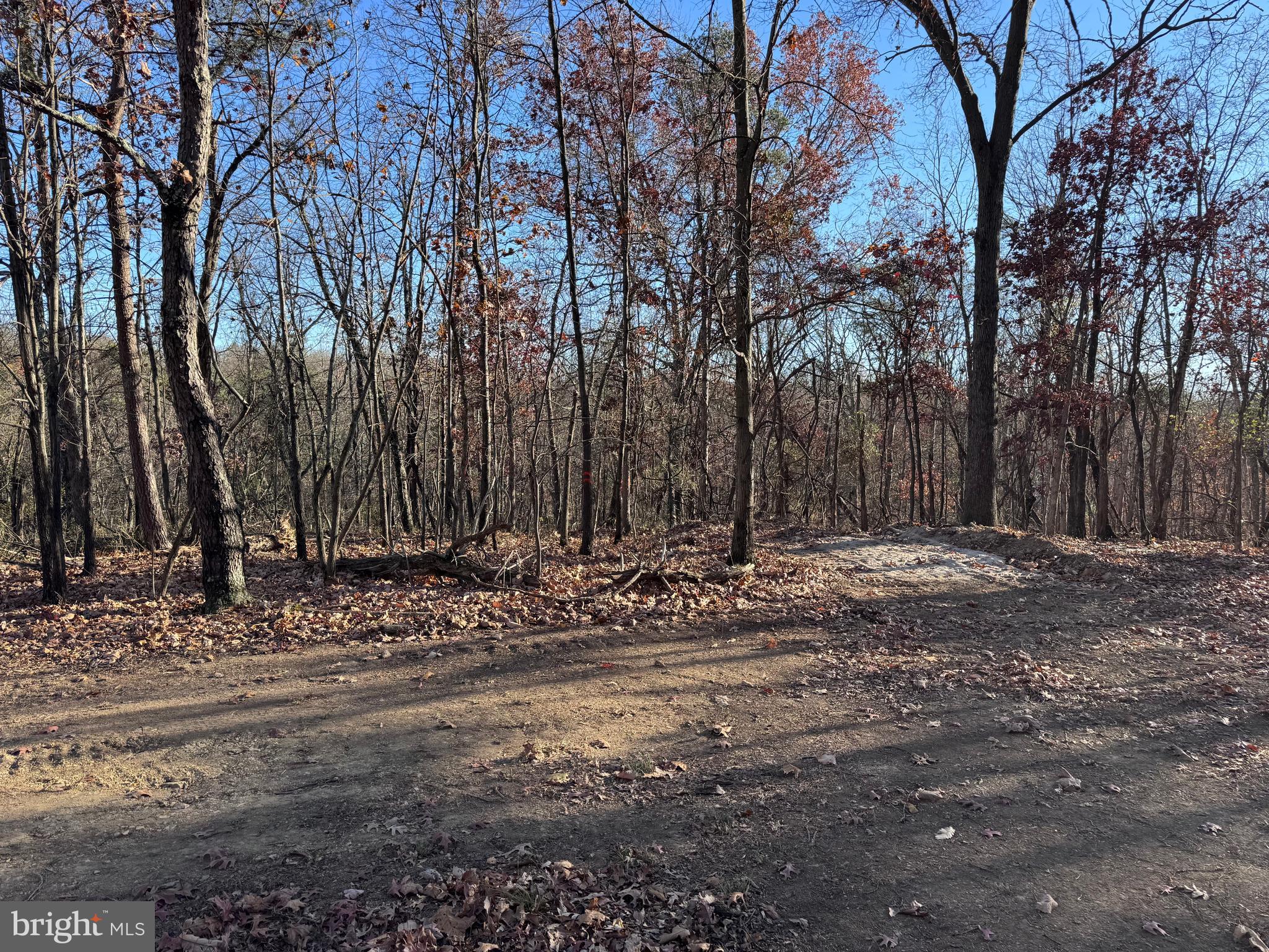 WOODSIDE ACRES - Land