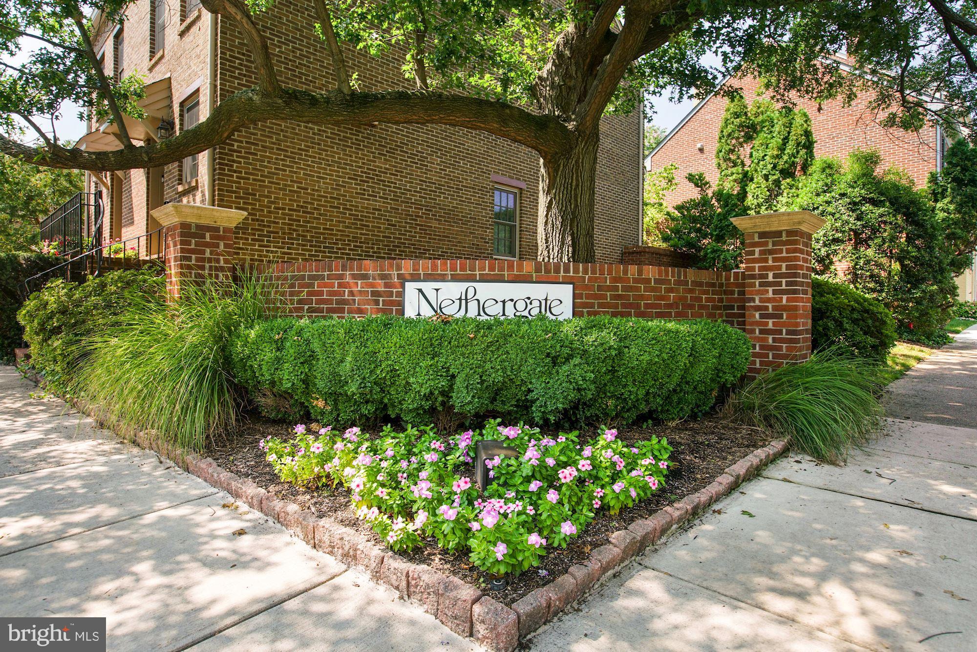 NETHERGATE - Residential Lease