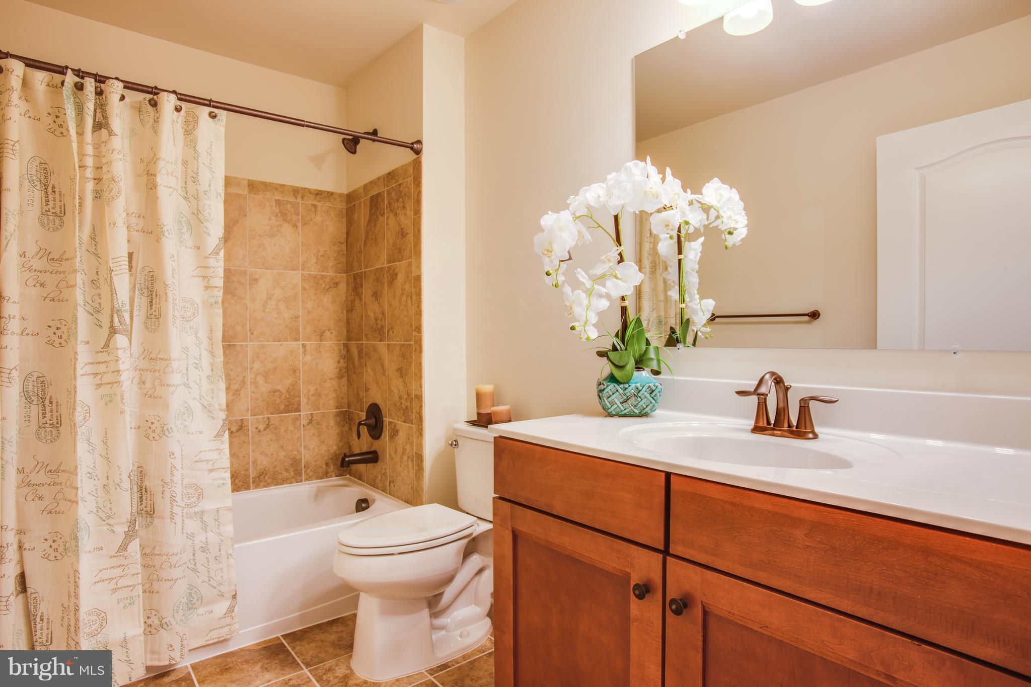 VIRGINIA HERITAGE AT LEE'S PARK - Residential