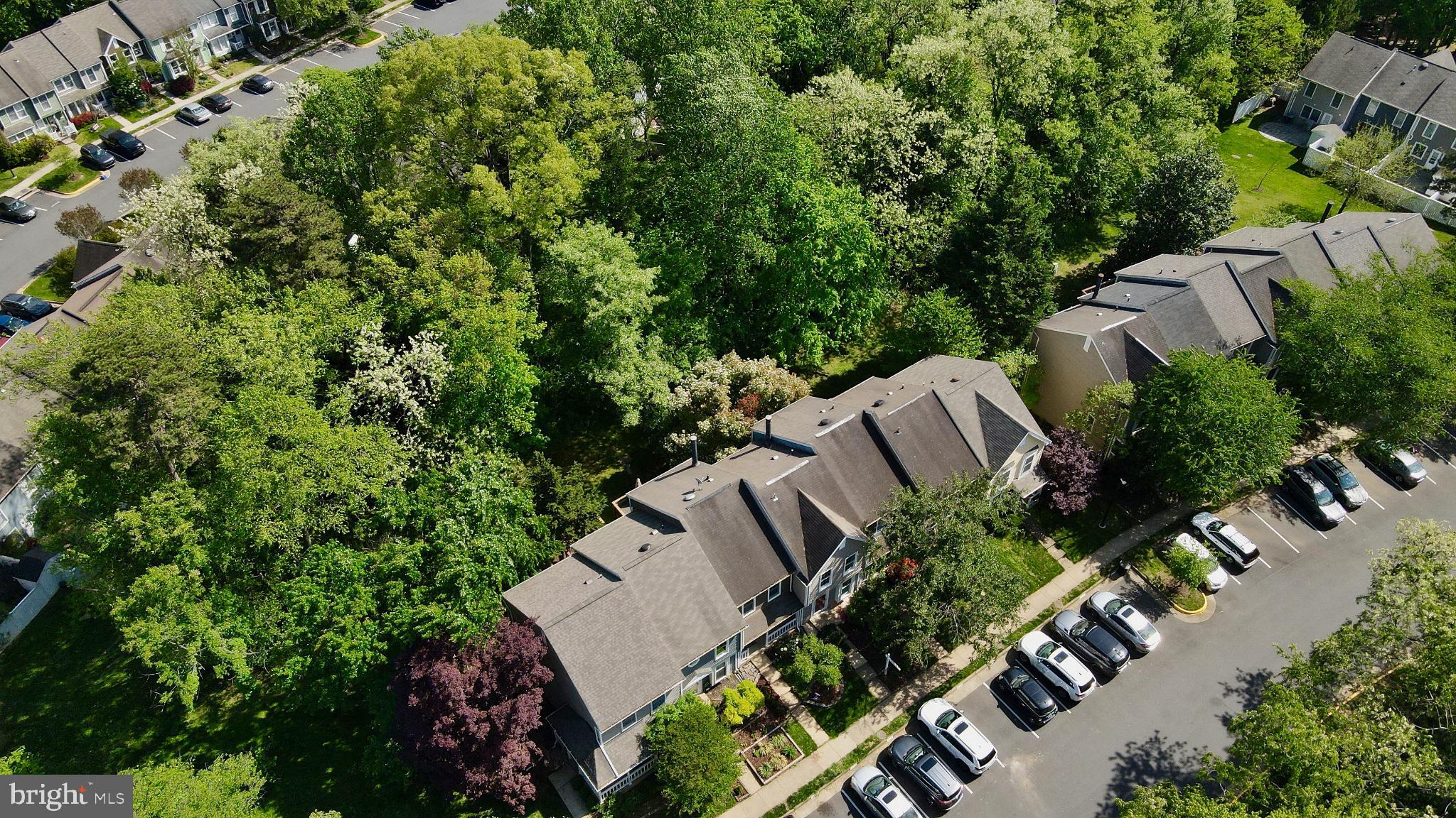 BIRCHFIELD WOODS - Residential