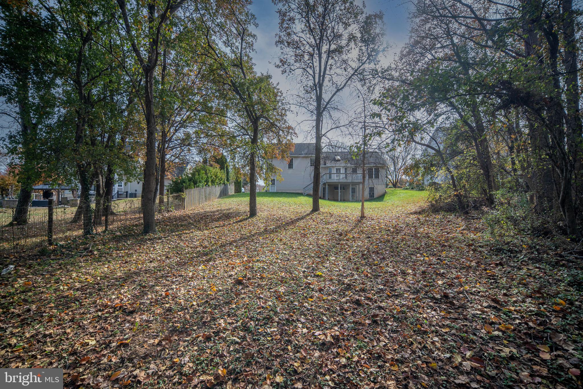 LITTLE FALLS VILLAGE - Residential