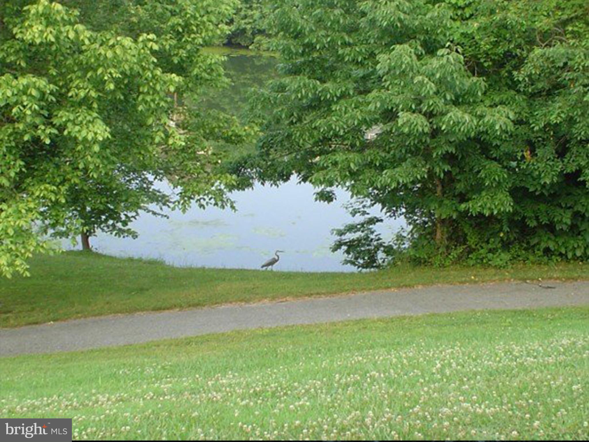 LAKE ANITA LOUISE - Residential