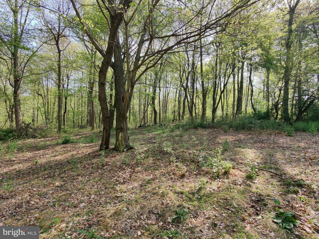 Photo of 0 WINDMILL RD, GAP, PA 17527 (MLS # PALA2033946)